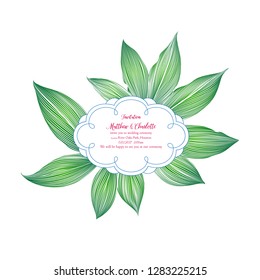Abstract floral frame in with green leaves cheilocostus speciosus. Hand-drawn, vector element for design.