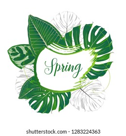 Resumen de marco floral en forma de garabatos con hojas tropicales verdes de monstera, plumeria, frangipani, calatea.