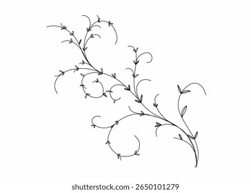 Abstract Floral hand drawn vector minimalist designs. Isolated on white background