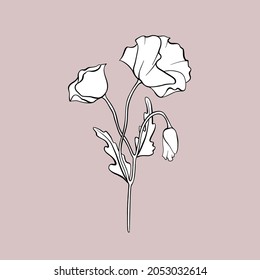 Abstract floral illustration. Composition of poppy flowers, buds, leaves hand-drawn vector graphics. Hand drawn bouquet of poppies black outline drawing, white fill. Minimalistic wildflowers design