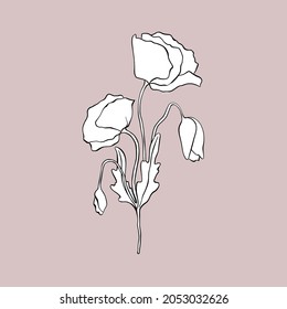 Abstract floral illustration. Composition of poppy flowers, buds, leaves hand-drawn vector graphics. Hand drawn bouquet of poppies black outline drawing, white fill. Minimalistic wildflowers design