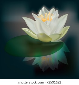 abstract floral illustration with white lotus on dark