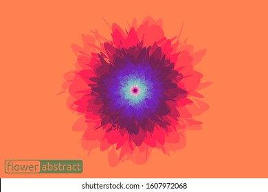 abstract floral light vector display