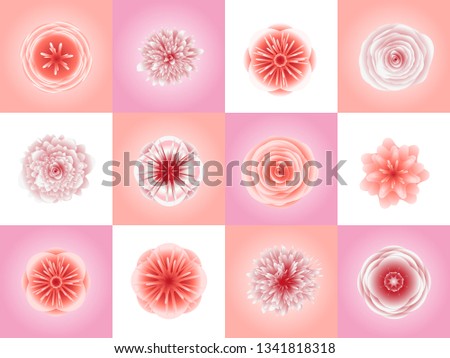 Abstract floral ornament in pink and coral colors