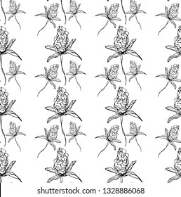 Abstract floral pattern in black color contour, on a white background, isolated, stock vector illustration for design and decor, prints, fabrics, wrapping paper