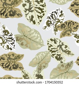 
Abstract floral pattern with dieffenbachia leaves