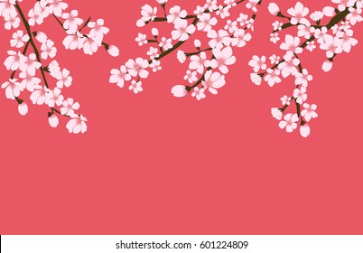 Abstract Floral Sakura Flower Japanese Natural Background Vector Illustration EPS10