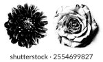 Abstract floral set featuring rose, daisy, and chamomile illustrations. Hand drawn ink sketches with grunge spray and noise effects. Black and white graphic.