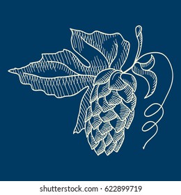 Abstract floral sketch concept with herbal hop plant used for beer brewing on blue background isolated vector illustration