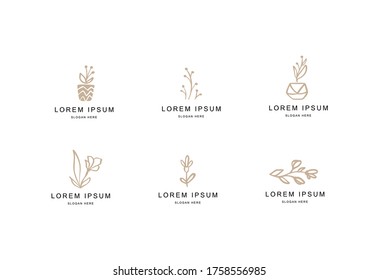 Abstract Floral Vector Signs or Logo Templates Set. Retro Feminine Hand Drawn Illustration Emblems for Beauty Salon, SPA or Wedding Boutiques Isolated.