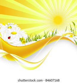Abstract floral vector template with sunbeams and chamomiles