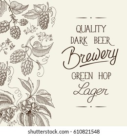 Abstract floral vintage light poster with calligraphic text and hand drawn beer hop herbal plants vector illustration