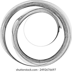 Abstract flow linear fluid  shapes .Curved lines pattern . Music sound wave . Vector illustration