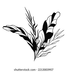 Abstract flower arrangement. Bouquet with twigs, curly long leaves, large burdocks, leaves in form of feathers. Boho style, hand drawn sketch. Design element. Plants, black silhouette, outline. Vector