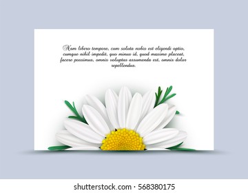 Abstract flower background with chamomile 