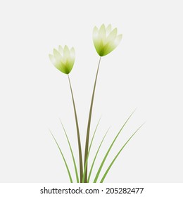 abstract flower background, vector eps10