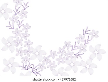 abstract flower background. vector illustration