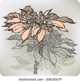 Abstract flower with berries, hand-drawing. Vector illustration.