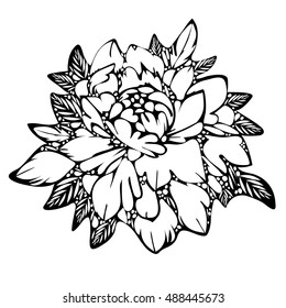 Abstract flower, black and white bud and leaves, monochrome. Sketch of tattoo, print, coloring book, doodle, decorative element. Hand-drawing, vector retro illustration