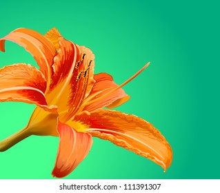 Abstrakte Blumenblütenvorlage