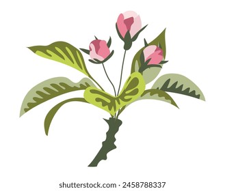 Abstractas botones florales en rama en diseño plano. Hermoso ramo de rosa. Ilustración vectorial aislada.