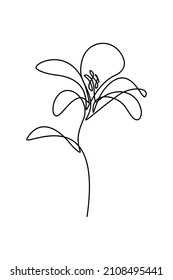 Flor abstracta en estilo de dibujo de línea continua. Diseño lineal de flor lirio aislado en fondo blanco. Ilustración del vector