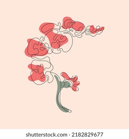 Flor abstracta en estilo de dibujo de línea continua. Arte de una línea. Diseño lineal de flores orquídeas aislado en segundo plano. Ilustración del vector