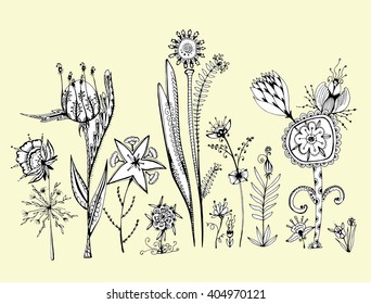 Abstract flower. Decorative flower. Stylized. Line art. Doodling. Zentangl. Black and white. Background. Drawing by hand. Mandala. Set.