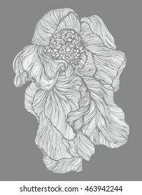Abstract flower. Decorative flower. Stylized. Line art. Doodling. Zentangl. Black and white. Background. Drawing by hand.