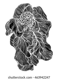 Abstract flower. Decorative flower. Stylized. Line art. Doodling. Zentangl. Black and white. Background. Drawing by hand.