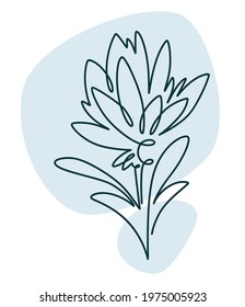 Abstract flower design drawn in continuous line art, isolated icon of floral sketch with color. Trendy flora and romantic gift, minimalist and simplicity of greeting card. Vector in flat style