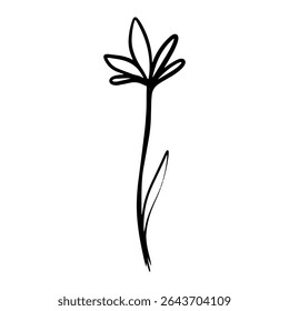 Abstract flower doodle  sketch. Lily flower black linear design isolated on white background. Vector illustration