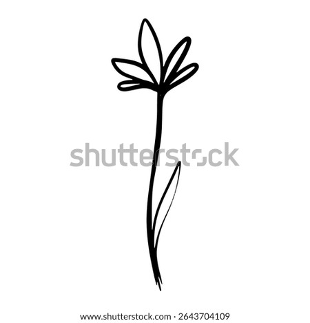 Abstract flower doodle  sketch. Lily flower black linear design isolated on white background. Vector illustration