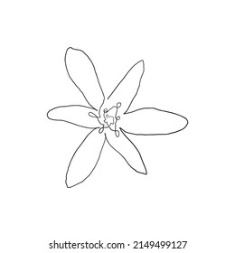 Abstract flower drawn by hand in a continuous line. Minimalist style.