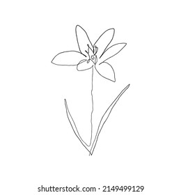 Abstract flower drawn by hand in a continuous line. Minimalist style.