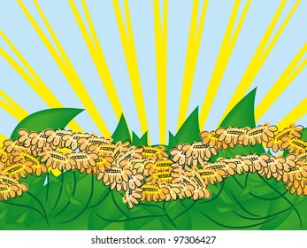 abstract flower frame with curl branch