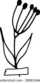 abstract flower glued with tape icon. hand drawn doodle. vector, scandinavian, nordic, minimalism, monochrome. plant herbarium scrapbooking