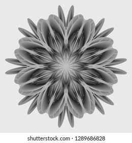 Abstract flower in grey tints. Grey mandala. 