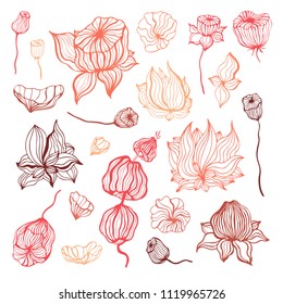 Abstract Flower. Hand Drawn Boho ornament. Vector illustration