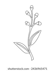 An abstract flower hand-drawn in a continuous line. One Line art Botanical vector illustration with one line