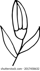 icono de flor abstracta. doodle dibujado a mano. vector, escandinavo, nórdico, minimalismo monocromo planta herbario