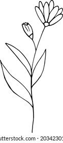 abstract flower icon. hand drawn doodle. vector, scandinavian, nordic, minimalism monochrome plant herbarium