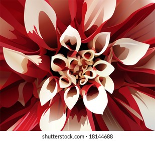 the abstract flower illustration