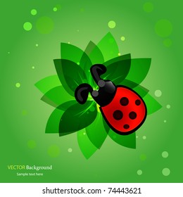 Abstract flower with ladybird background. Vector illustration