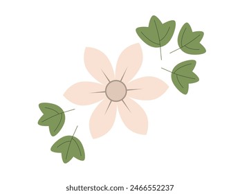 Abstract flower and leaves top view. Spring flora. Flat vector illustration on white background