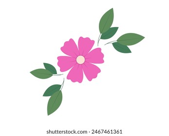 Abstract flower and leaves top view. Spring flora. Flat vector illustration on white background