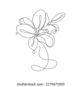 Abstract Flower Lily one line art drawing singulart aesthetic minimalist vector Isolated white background, Perfect for print, wall decor, phone case, shirt, sticker, pillow, acrylic, border, wallpaper