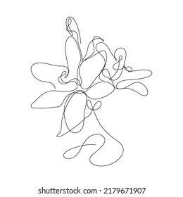 Abstract Flower Lily one line art drawing singulart aesthetic minimalist vector Isolated white background, Perfect for print, wall decor, phone case, shirt, sticker, pillow, acrylic, border, wallpaper