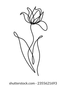 Abstract flower line drawing, isolated on white background. Vector