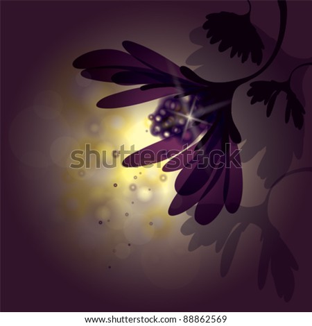 Abstract Flower / Mysterious background